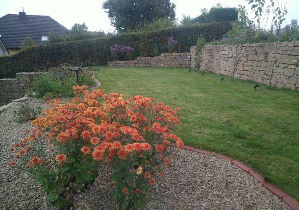 Plantation de fleurs et d’arbustes à Luxembourg : donnez vie à votre jardin avec Peipi’s Garden Sarls